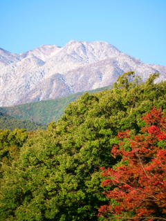 紅葉と地蔵ヶ岳