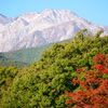 紅葉と地蔵ヶ岳