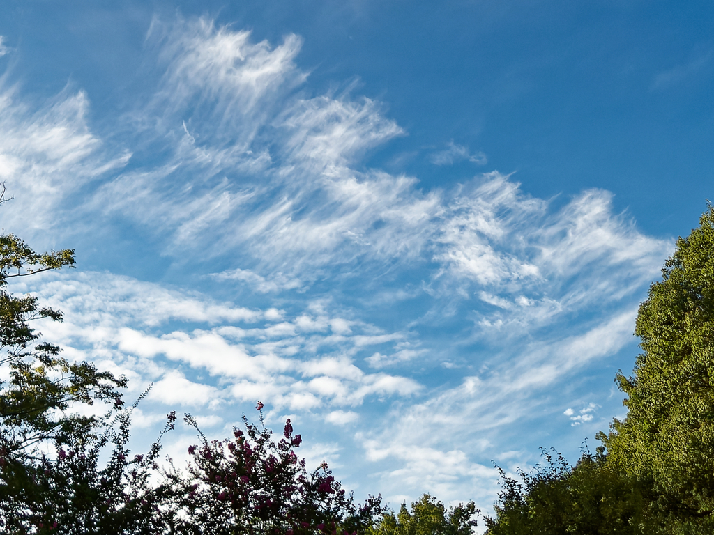 秋空