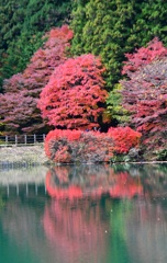 湖畔の彩り　②