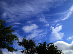 秋のような空