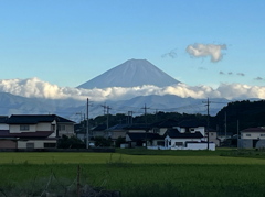 昨日の富士山