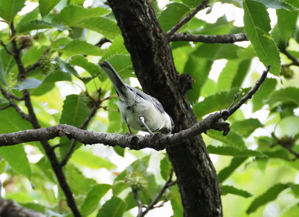 後ろから失礼・・・