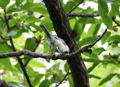 後ろから失礼・・・