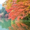 湖畔の彩り　④