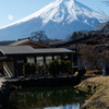 忍野八海（鏡池）