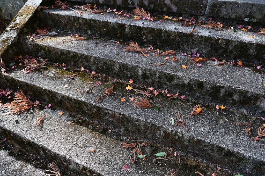 試写　蕃竹山大公寺　⑦