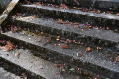 試写　蕃竹山大公寺　⑦
