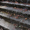 試写　蕃竹山大公寺　⑦