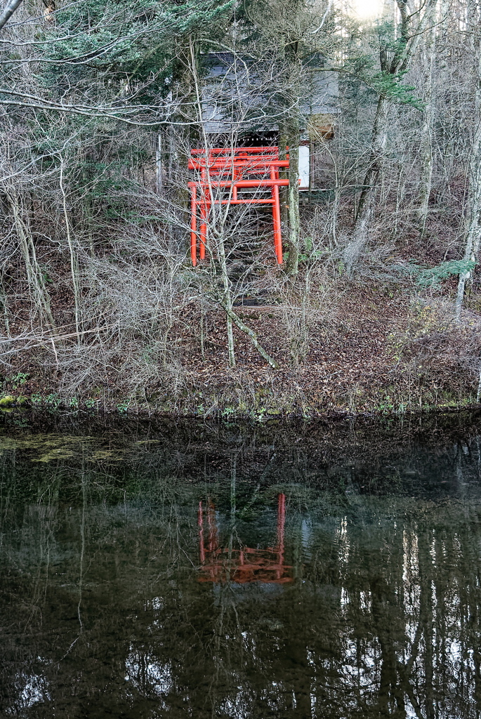 忍野八海（出口池）