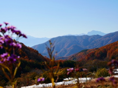 山里の景色・晩秋