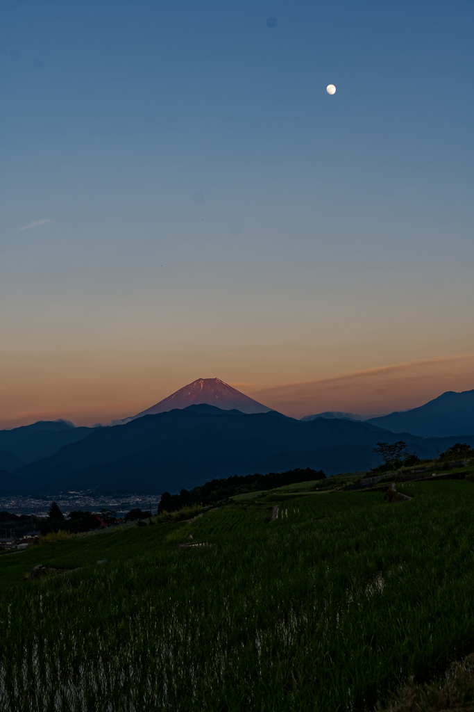 夕暮れの棚田　②