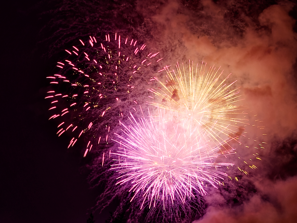 武田の里花火大会　⑤