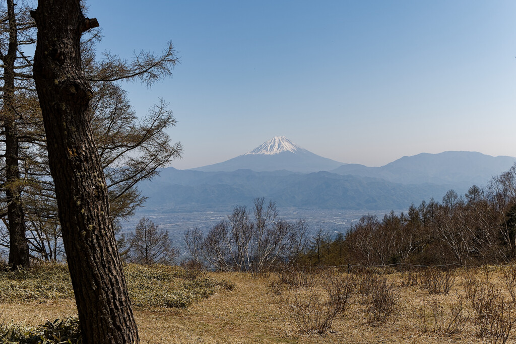 お山へ行って来ました　①（お山からの富士）