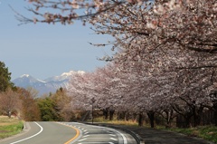 八ヶ岳遠望
