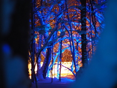 雪灯路