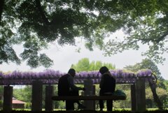 藤棚で宴会