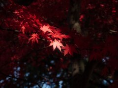 駒が根（長野）