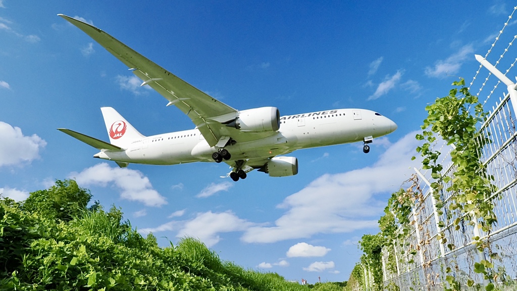 ときどき飛行機！
