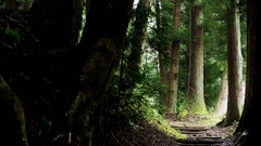 雨の中山道