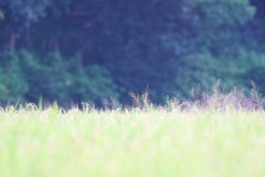 なにも無い一日