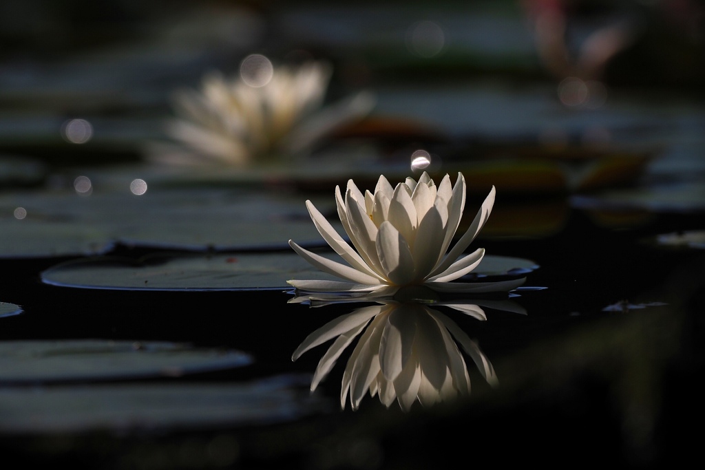 涼しげな時間！