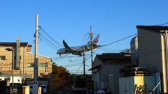「原田緩衝緑地公園」が待ち遠しい～～