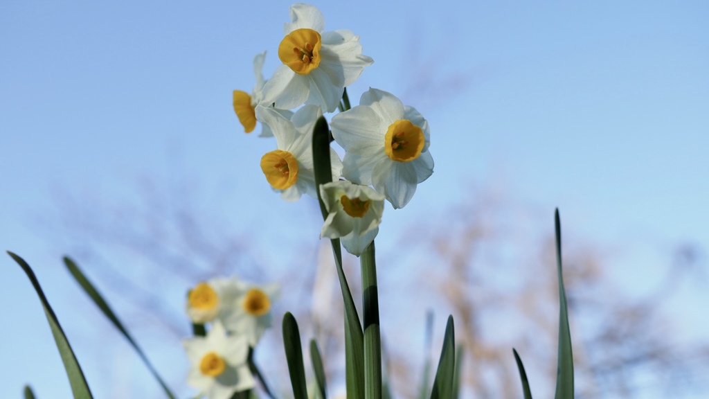 天気が良かったので！