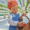 紅ほっぺ！