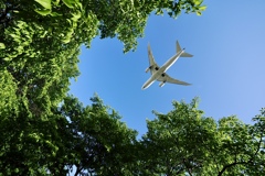 若葉の空