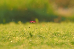 チョット早かったかナ～～