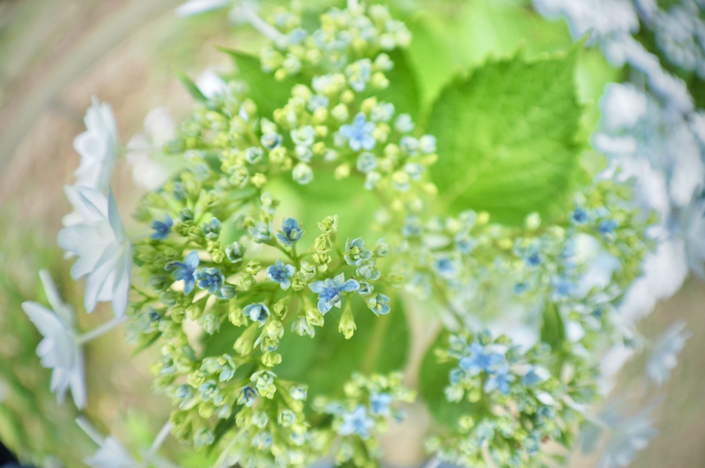 最近見えにくくなった！