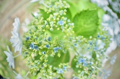 最近見えにくくなった!