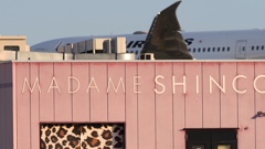 大阪のお土産と言えば｢MADAME SHINCO｣！