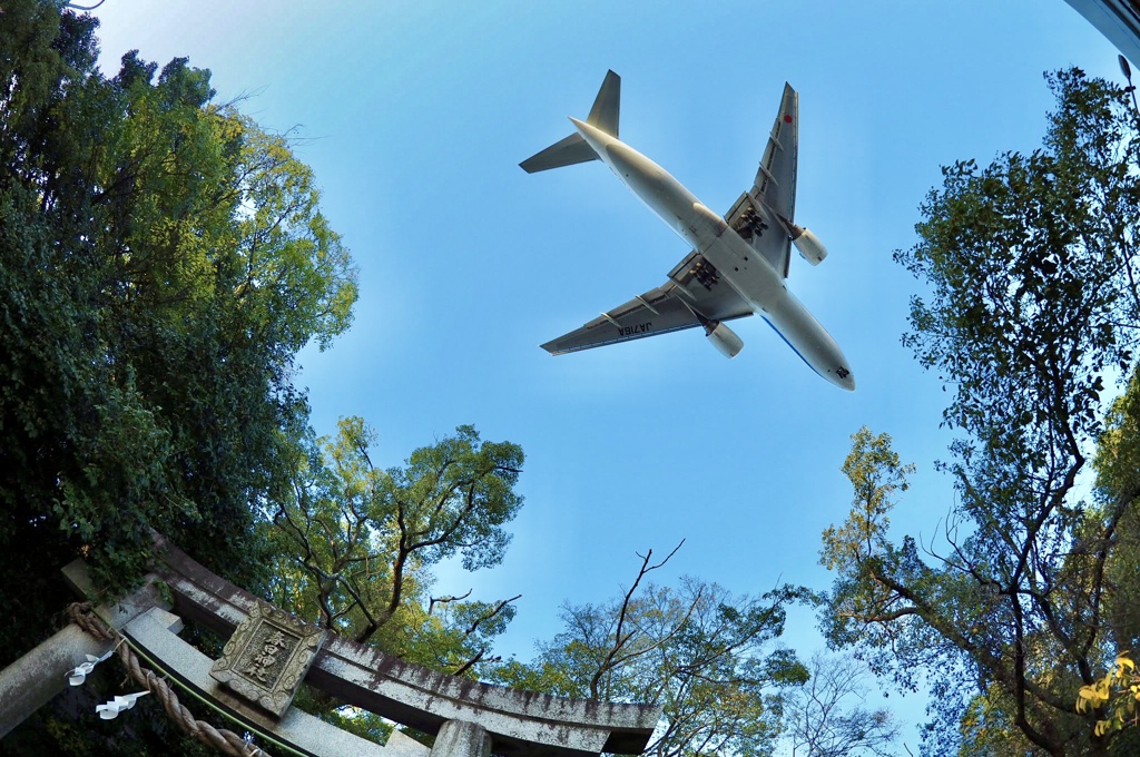 神社通り抜け！