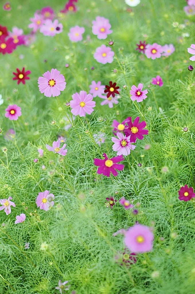 意外と！