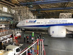 ガチャピンとB787