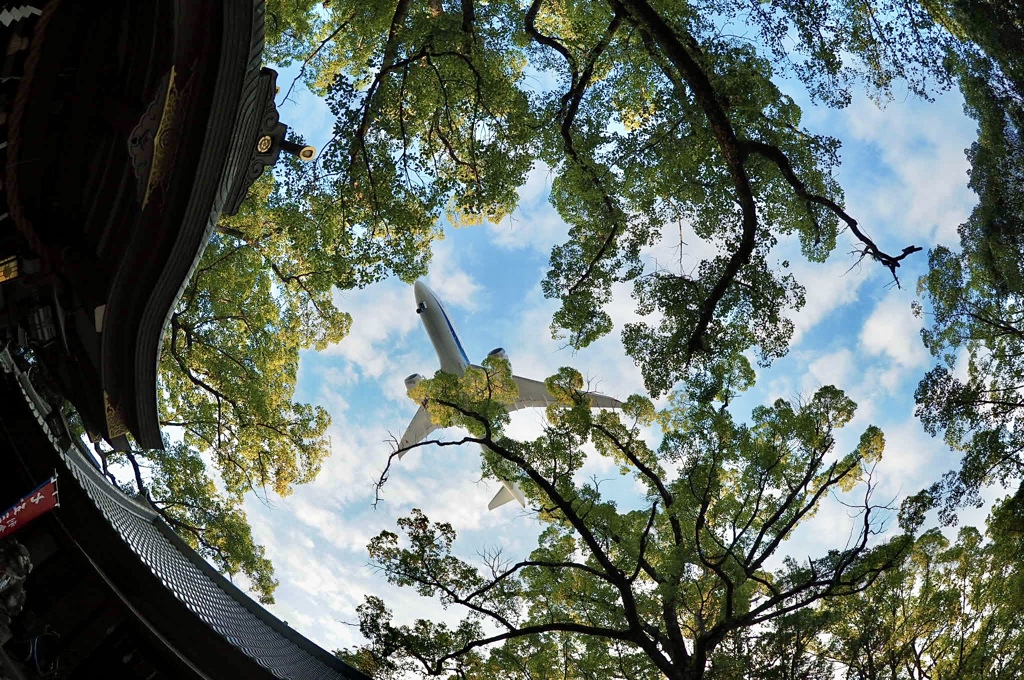 神社通り抜け！（２）
