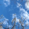 香る風白い雲