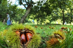 ここにいるよ～