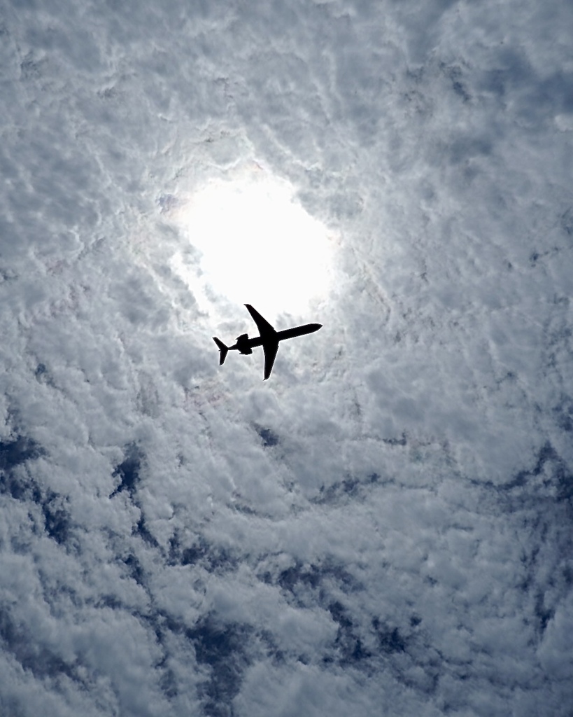 空が高い日