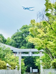 朝から真夏日！