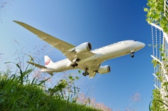 天気が良い日は飛行機ダ～