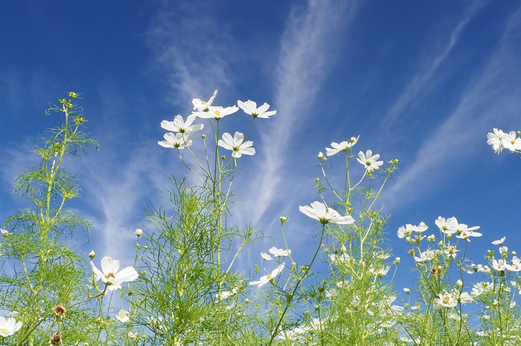 空が綺麗だと何でも良く見える (シリーズ3）