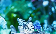 最近思うのです！