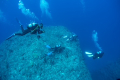 下地島ダイビング