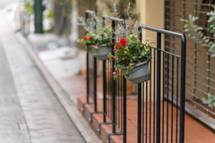 横浜元町スナップ