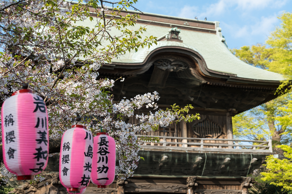 2023年　春の称名寺