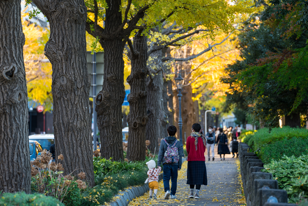 山下公園　紅葉