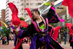 第19回 湘南よさこい祭り